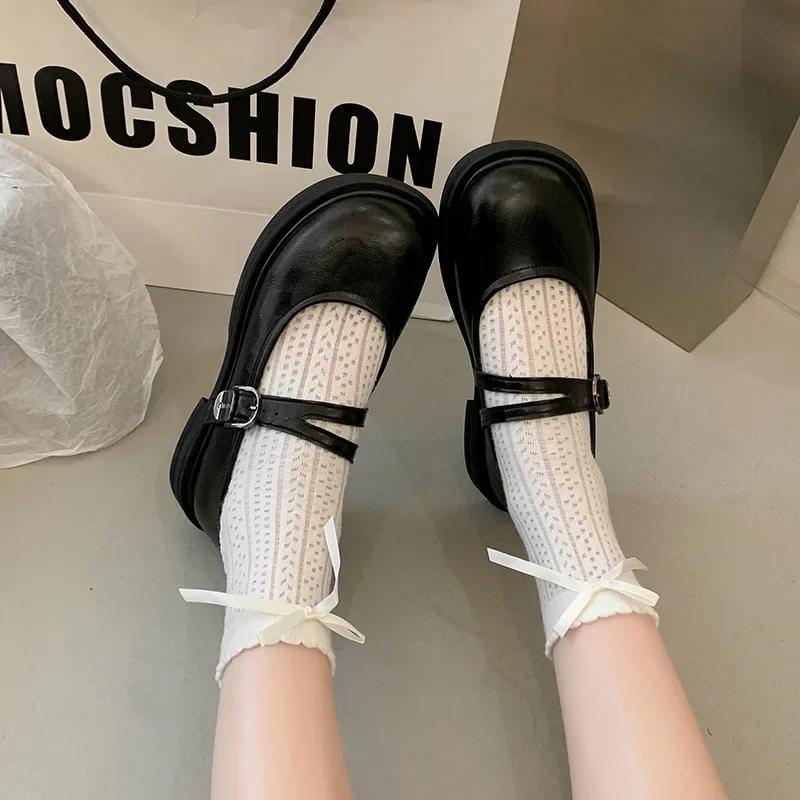 Fashion Brown Mary Jane Women's Shoes Spring 2025 Retro Round Head Match Skirts Thick Heel Versatile PU Leather Comfortable Single Shoes
