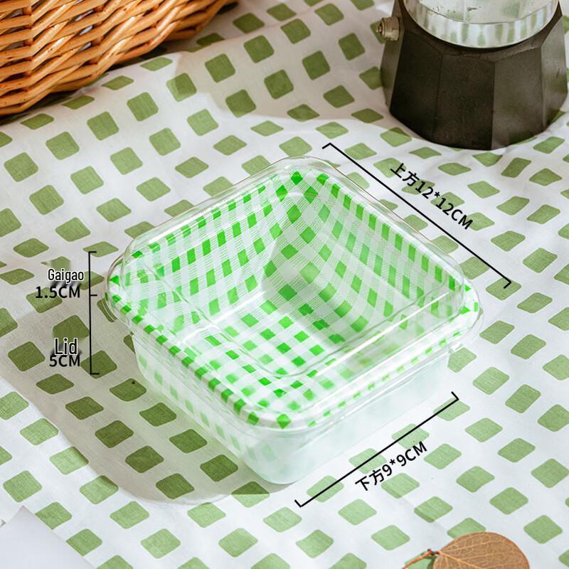 Disposable Picnic Food Box Square