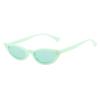 Spring New Sunglasses European And American Personality Cat Eye Internet Celebrities Same Glasses Fashion Small Frame Sunglasses Women