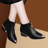 Small Leather Shoes New Single Shoe British Style Versatile Women's Pointed Thick Heel Plush Women's Shoes