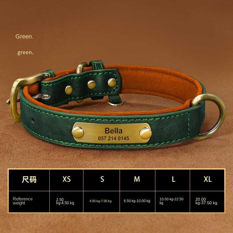 Personalized Custom Dog Collar with Engraved Lettering and Anti Loss Leather Collar