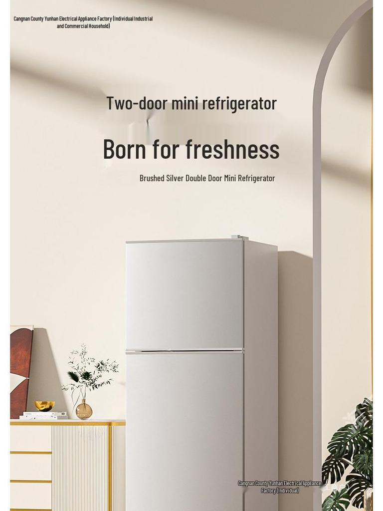 Energieeffizienter kompakter Doppel-Tür Mini-Kühlschrank für Zuhause, Wohnheim oder Büro