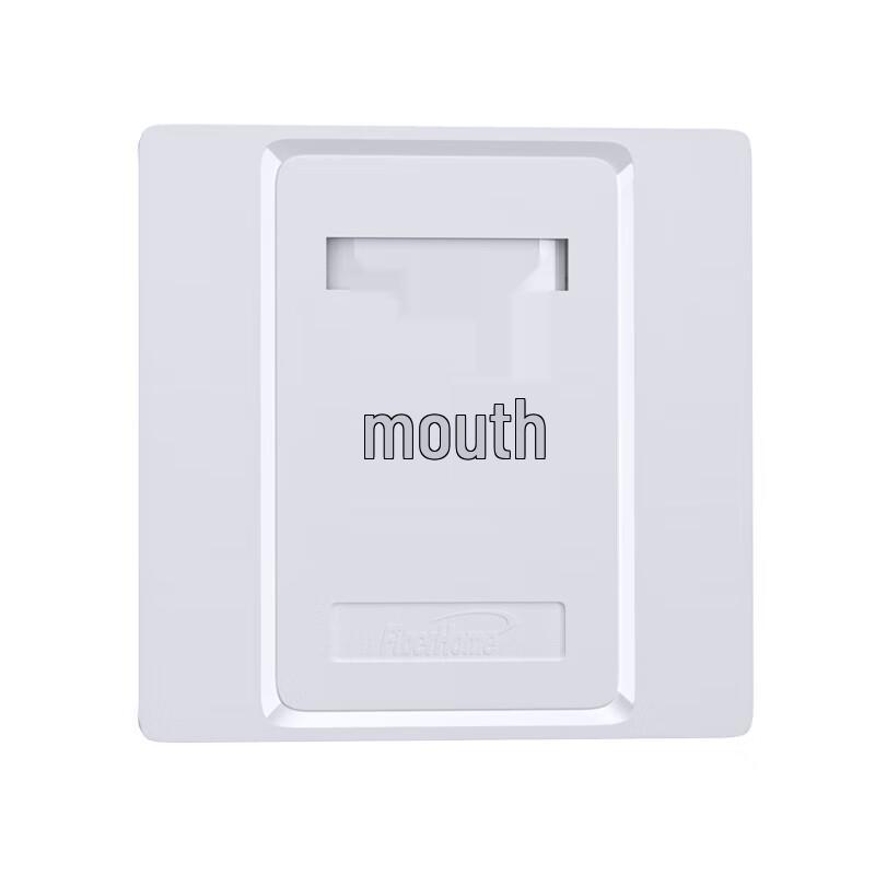 FiberHome Cat6/Cat5e Dual-Port Network Wall Plate