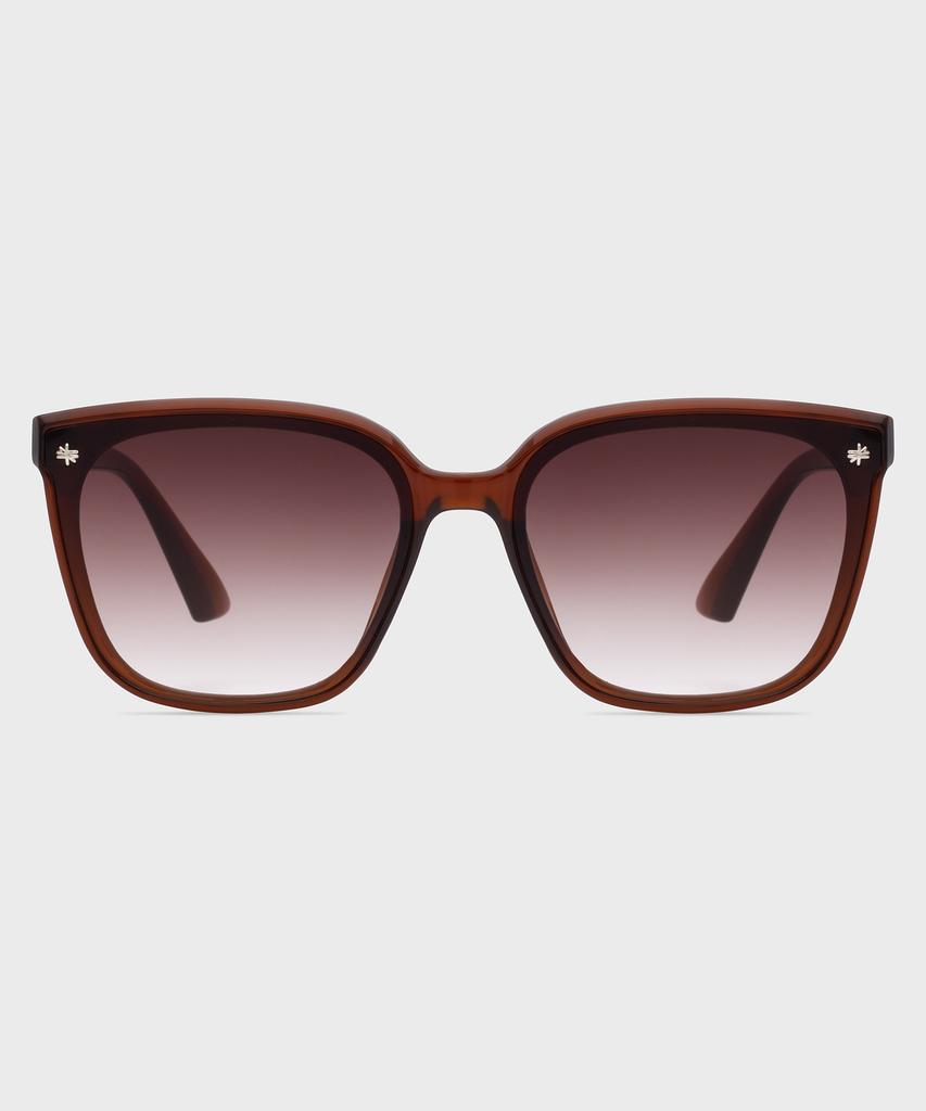 Likkeullou Rc Snow Sunglasses Brown