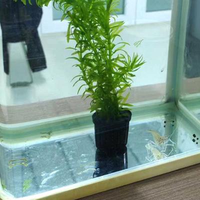4 Pieces Aquarium Planter Pot with Sponge Suction Cups For Home Fish Tank Plant Pots Holder for Betta Shrimp Freshwater