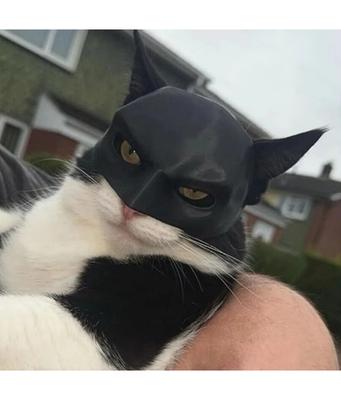 Cat Mask Black Bat Halloween Cosplay Hat Cat Funny Toys Cool Cat Masks Photos Props Pet Accessories