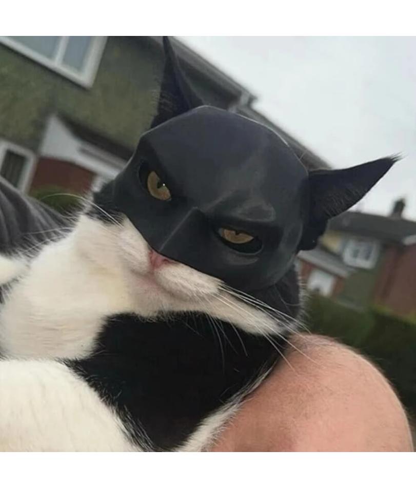 Katzenmaske Schwarze Fledermaus Halloween Cosplay Hut Katze Lustiges Spielzeug Coole Katzenmasken Fotos Requisiten Haustier Zubehör