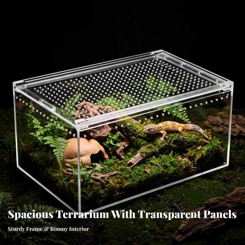 Transparent Reptile Terrarium | Ventilated Top Panel, Enclosure, for
