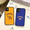 Vintage Camel Cigarettes Phone Case For IPhone 16e 16 15 14 13 12 11 Pro Max X XS MAX Plus Spuerstar Matte Cover