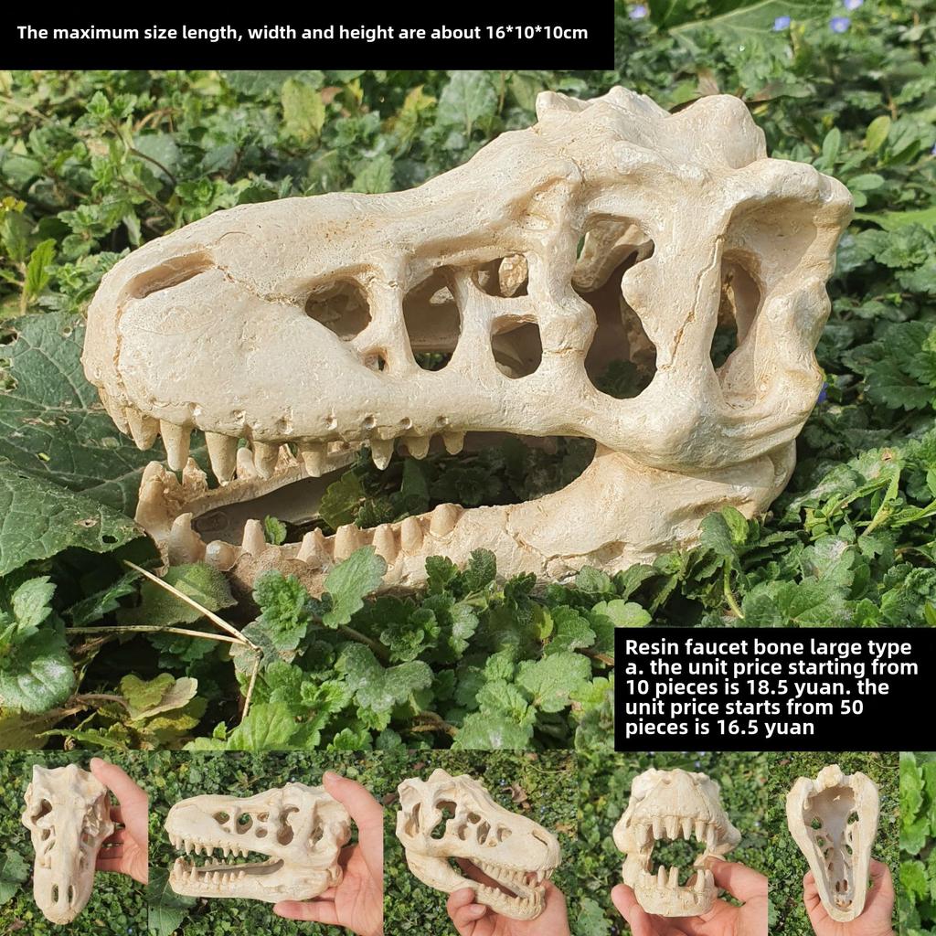 Akril Hüllőtenyésztő Doboz Dekoratív Koponyával