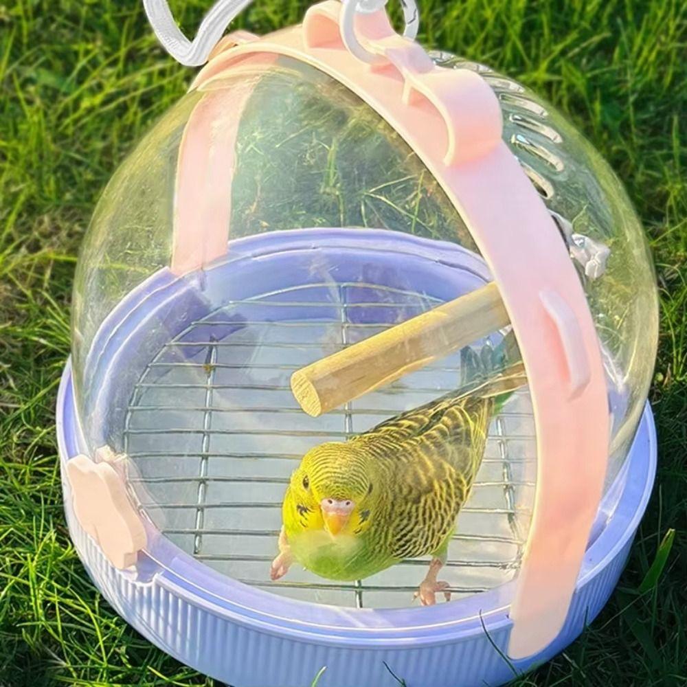 Large Space Hamster Outgoing Case Breathable Mesh Small Animal Carrier Small Pet Owners