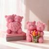 Professional Adorable Reusable Silicone Candle Mold Set With Realistic Bear Couple Design Perfect For Experts and Beginner