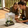 Jumping Spider Terrarium Comfortable Acrylic Full Transparency Small Reptile Enclosure Habitat For Lizards Small Turtles Snails