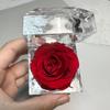 Preserved Rose Jewelry Box Acrylic Transparent Eternal Flower Case Valentine's Day Gift Box for Ring Necklace Proposal Jewelry