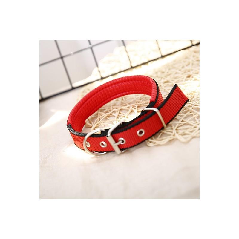 Pet Collar Made Of Pp Polypropylene Breathable And Comfortable Suitable For All Seasons