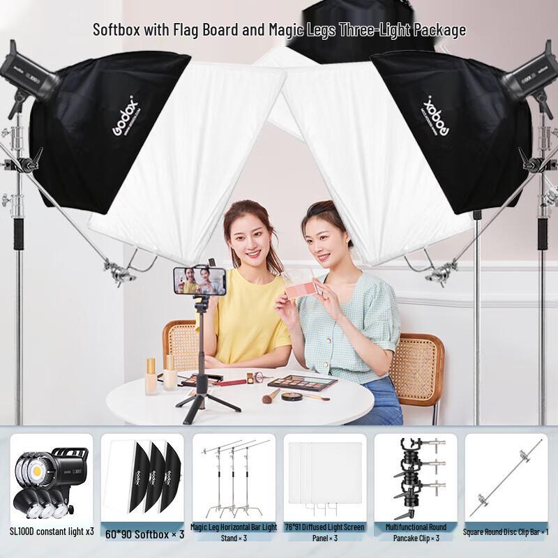Godox SL100D LED Continuous Light Kit