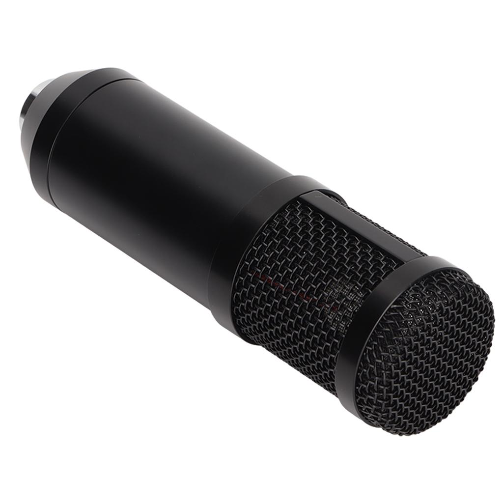Wired Condenser Microphone XLR to 3.5mm Professional Broadcast Recording Mic with Shock Mount for PC Laptop