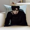 P-Ji Chang-Wook Cushion Cover Natural Linen Pillowcase Set, All-In-One Decor For Sofa, Bedroom & Chair