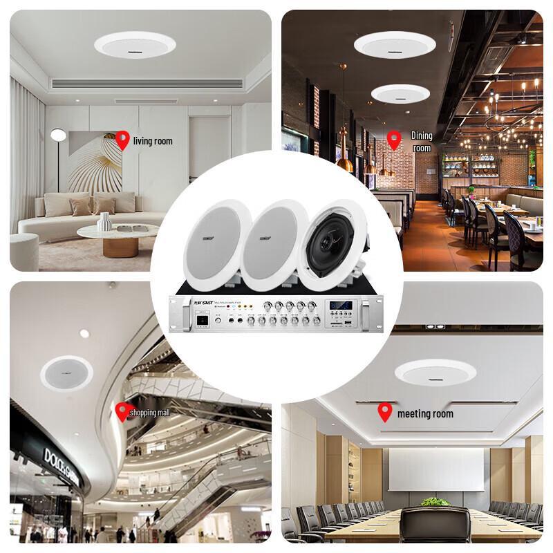 SAST TH15 5-inch Fixed Voltage Ceiling Speaker System CN plug (adapter included)