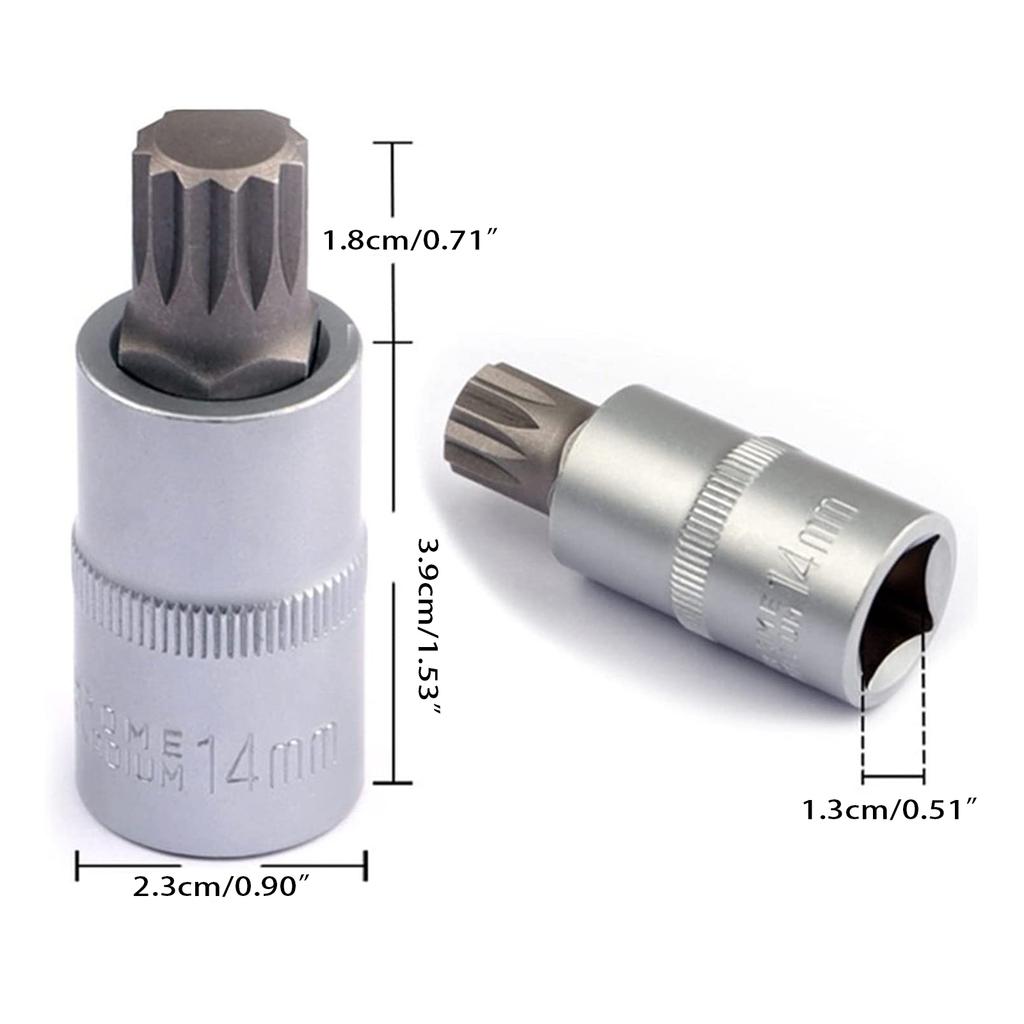 8-Piece Torx Bit Socket Adapter 1/4" 3/8" 1/2"