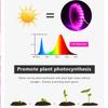 DC 5V USB LED Grow Light Full Spectrum 1-5m Plant Light Grow LED Strip Phyto Lamp for Vegetable Flower Seedling Grow Tent
