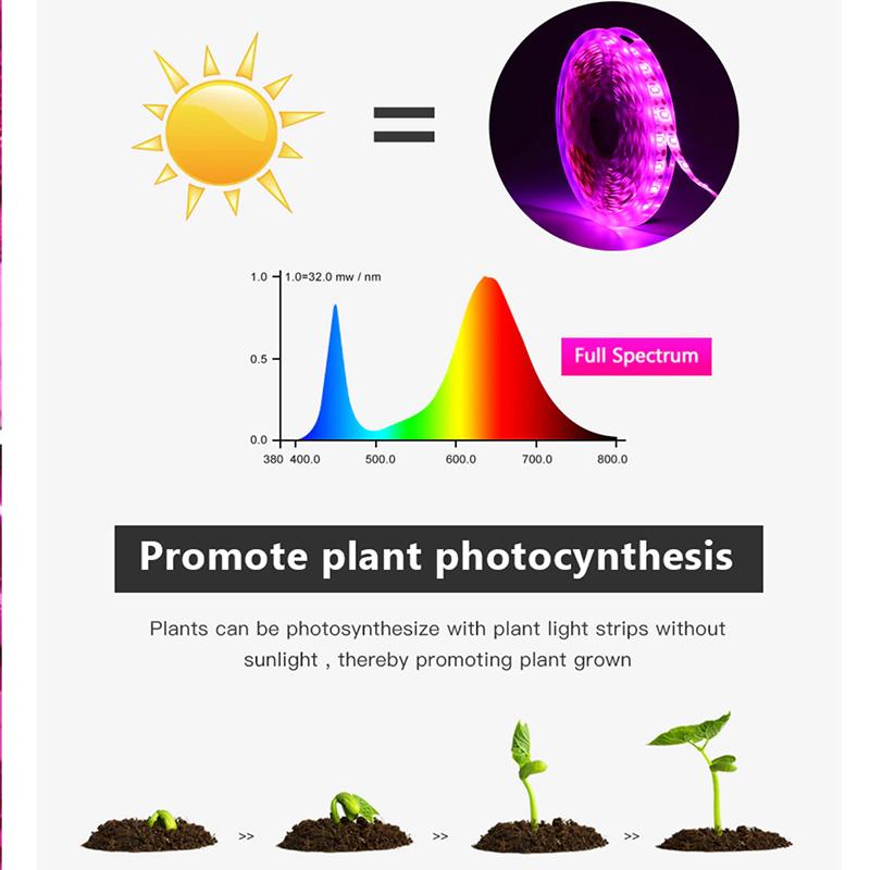 DC 5V USB LED Grow Light Full Spectrum 1-5m Plant Light Grow LED Strip Phyto Lamp for Vegetable Flower Seedling Grow Tent