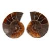 Accesorii pentru decor – Obiecte de decor din materiale naturale
