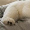 Yousheng Polar Bear Plush Doll 21/28cm Lovely Family Stuffed Placating Toy Soft And Cuddly Plushie Gift for Children