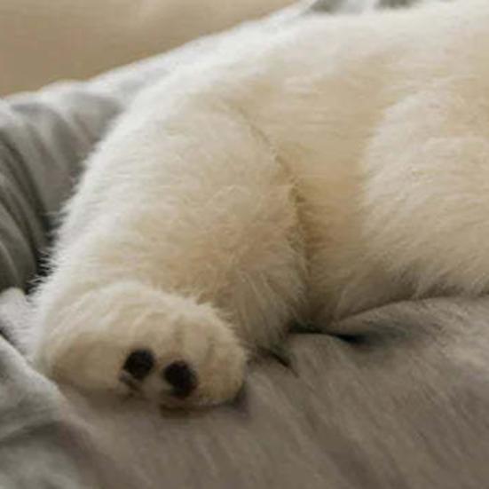 Plyšová panenka ledního medvěda 21/28 cm Krásná rodina Vycpaná uklidňující hračka Měkký a mazlivý plyšák Dárek pro děti