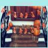 Horrifying Halloween Fake Body Parts Garland For Spooky Party Decorations