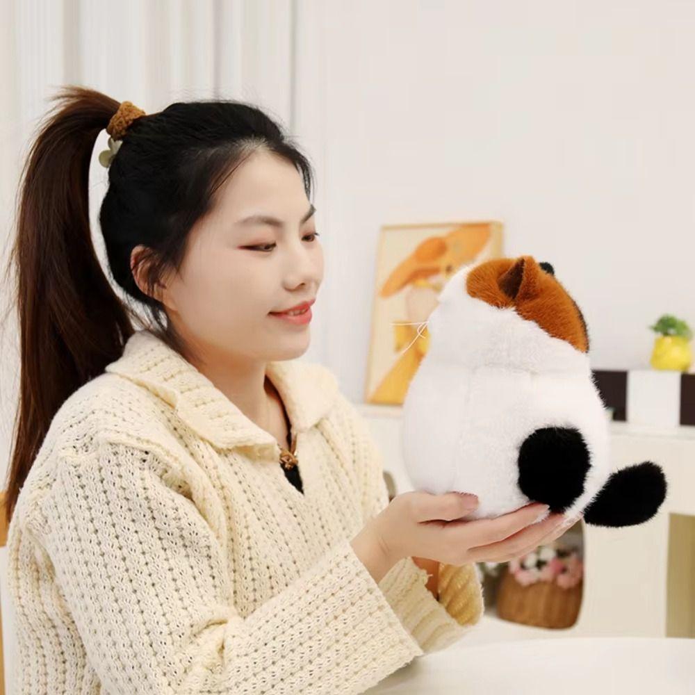 Anime Movie Animal Cat Plush Doll Stuffed Anime Peripherals Dolls Cat Plush Toys  Home Decor