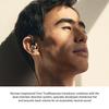 Sennheiser IE 600 Dynamic In-Ear Headphones