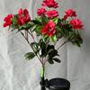 LED Azalea Solar Flowers Lights Waterproof Landscape Lawn Lamp Garden Lights  Pathway Patio
