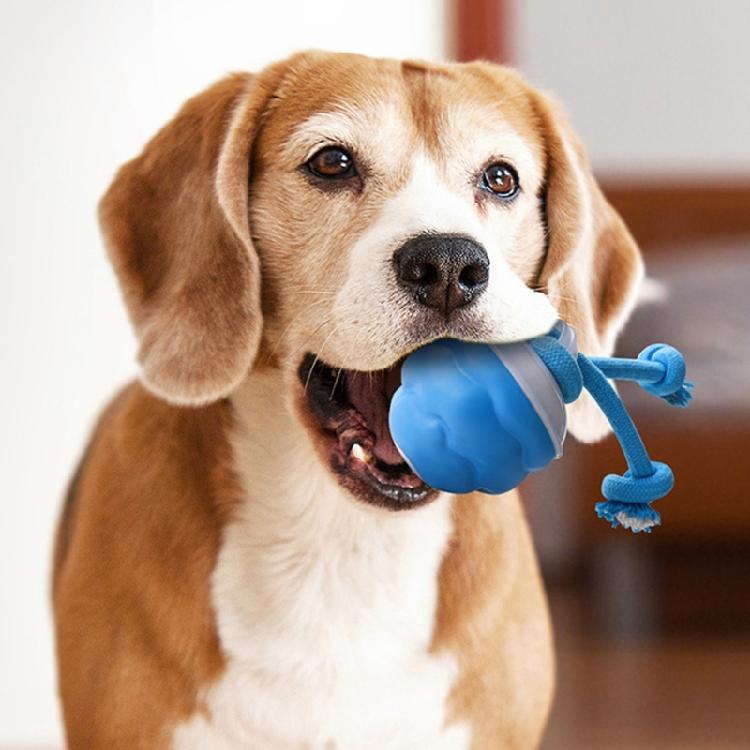 Wiederaufladbarer USB-Hundespielzeug Kauspielzeug Seilball Spielzeug Interaktion Bewegungsaktivierter Rollball für Verschiedene Rassen Fesselnd