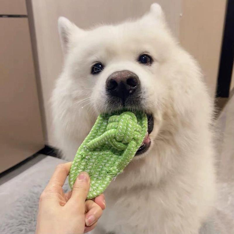 Pet Cotton Rope Slipper Knot Toy For Small Dogs Interactive Chew Toy Dental Clean Teeth Grind Tartar Control Non Toxic Dog Toys