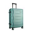 Diplomat Silent Spinner Hard-Shell Checked Luggage (24-inch)