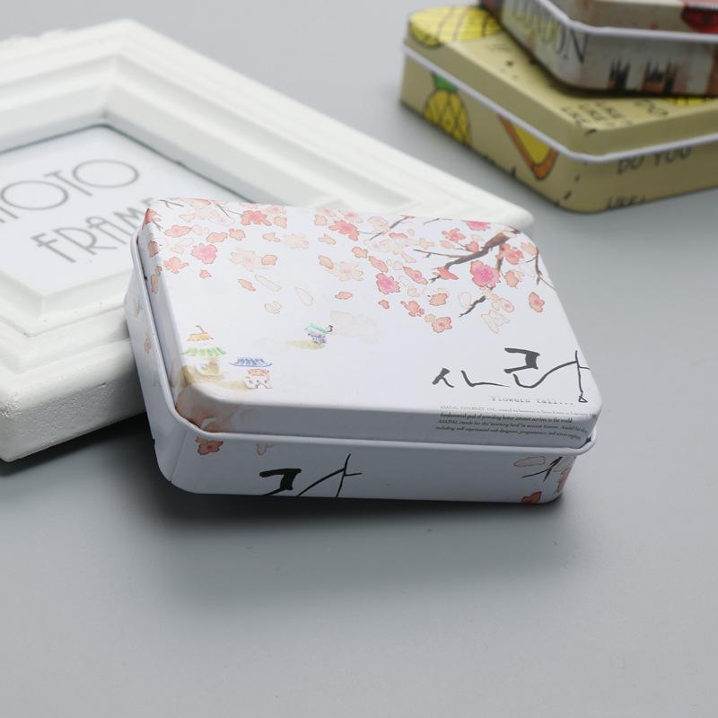 Creative Cartoon Mini Card and Hairpin Storage Tin Box