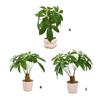 Artificial Money Plant Artificial Money Tree Potted Plant Realistic Simulation Money Tree for Indoor Decoration