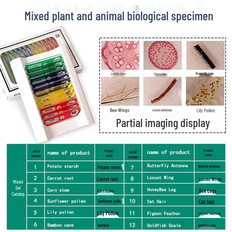 Kinder Doppelhelix Mikroskop: Pädagogisches Physik- & Biologie-Spielzeug für Grund- & Mittelschüler
