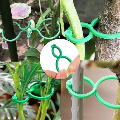 50/100Pcs Buckle Vine Tying Clips Ring Fixing Bracket Garden Plant Holder Tools Garden Decorations Plant Climbing Wall Clips