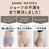 Bambi Water Seamless Smooth and Solid Color Mauve Women's Panties, Underwear, Co-ordination Available, Comfortable, Deep-Fitting, (L, Gray)