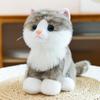 Bebek ve Peluş Oyuncaklar – Doldurulmuş ve Peluş oyuncak hayvanlar