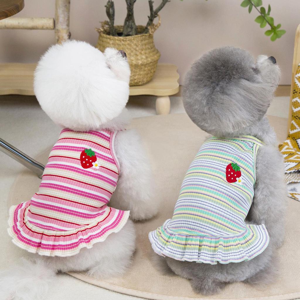 Striped Strawberry Princess Dress for Small Dogs - Spring/Summer Collection