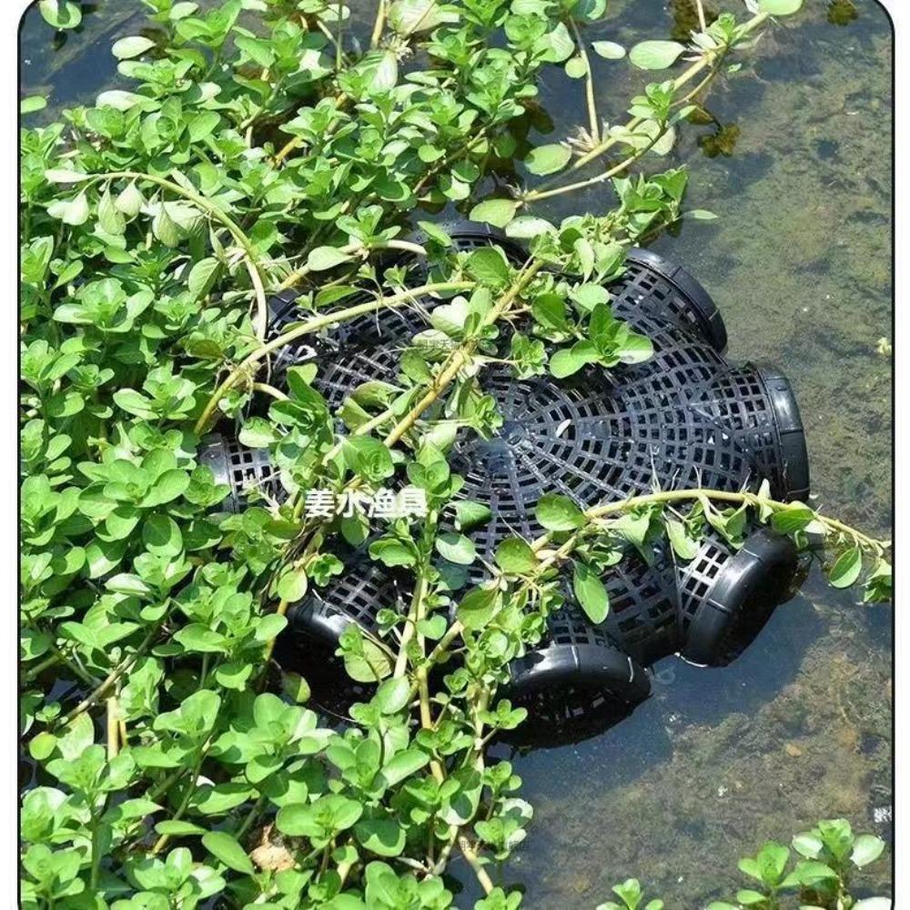 Black Fish Net Cage Fishnet Finless Eel Cage 2024 Fishing Pot