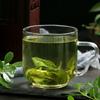 Mint Leaves Soaked In Water, Fresh Mint Tea, Evacuation of Wind and Heat, Qingli Leader, Liyan