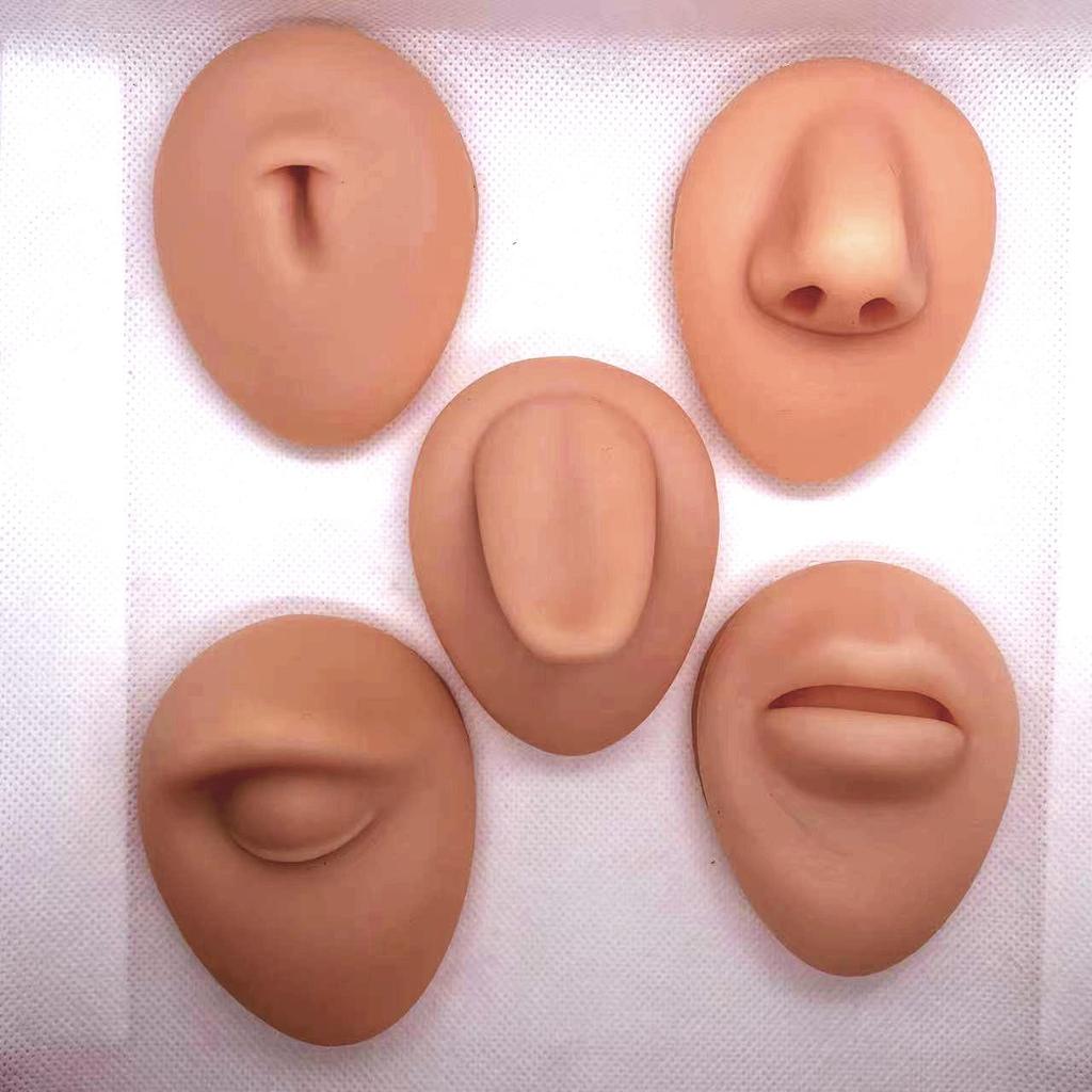 Silicone Ear, Nose, Tongue, Navel, Eye, and Mouth Model of Human Senses