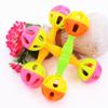 Rattle Double-head Bite Resistant Interactive Bird Toys Parrot Chew Bell Chewing Ball