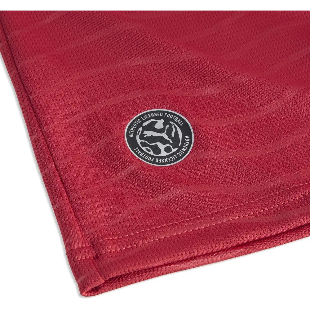 PUMA Portugal 25/26 Replica Home Soccer Training Jersey Red