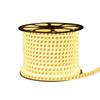 Waterproof 220V LED Strip Lights: Tri-Color, Self-Adhesive, Extra Bright for Living Room, Ceiling Trough, and Outdoor Use