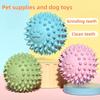Pet Dog Toy Ball Solid Bite-Resistant Chewing Indestructible Bouncing Ball Dog Rubber Training Interactive Game Teething Ball